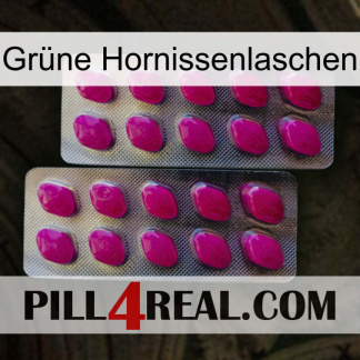 Grüne Hornissenlaschen 10